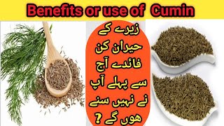 Benefits of cumin seeds zeera ka fayde  cumin seeds 10 health benefits of cumin زیرہ کے فائدے [upl. by Llerehs958]