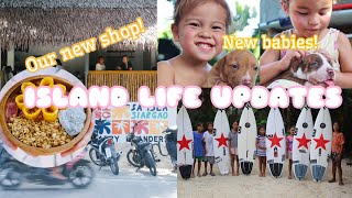 Were Back Island Life Updates New Surf Shop amp Cafe puppies and more [upl. by Haase]