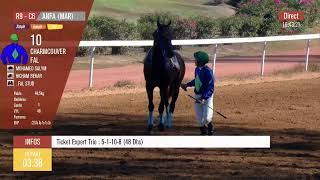 Live Hippodrome « CASABLANCA »  Courses du «13092024 » [upl. by Stephine]