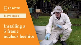 Trevs Bees  Installing a 5 frame nucleus beehive into a 10 frame Langstroth beehive [upl. by Eelidnarb]