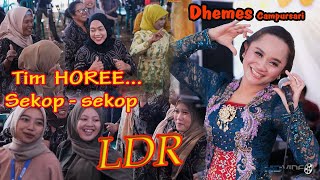 dj ldr  dhemes campursari [upl. by Alard]