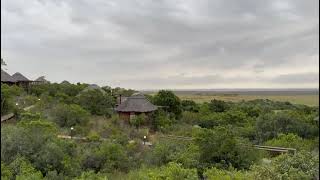 Checking in at the Garden route game lodge [upl. by Aifas]