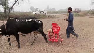 Pakistani Farmers [upl. by Mariele]