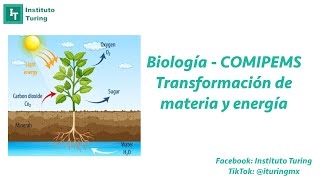 Biología  Transformación de materia y energíaCOMIPEMS [upl. by Giefer]