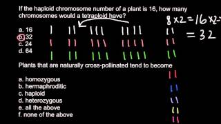 Haploid diploid triploid and tetraploid plants [upl. by Lanae]