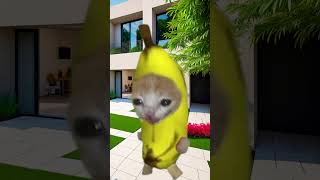 Banana Cat 🍌🐱 Escapes From Zombies 🧟‍♂️💥 [upl. by Barbabra]