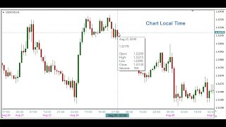 MT4 Chart Local Time Overview [upl. by Reedy]