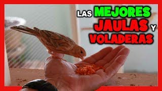 Las MEJORES JAULAS para CANARIOS 🐤 JAULAS para PAJAROS 🐦 VOLADEROS  CRIA DE CANARIOS [upl. by Kynan]