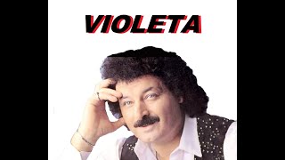 Violeta Alcides KARAOKE [upl. by Llertak952]