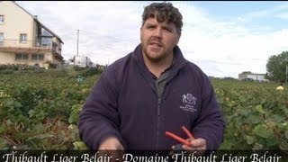 Thibault Liger Belair  Wine Tasting  Burgundy Wine Tour [upl. by Abra]