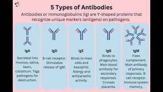 nursing officers immunoglobulins [upl. by Llerref392]