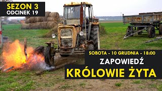 Królowie Żyta Sezon 3 odcinek 19 I ZAPOWIEDŹ I Kabaret Malina [upl. by Eentruok]