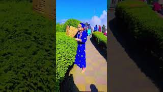 Darjeeling tea garden trendingsongs viralreels bhojpuri [upl. by Attenad]