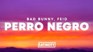 Bad Bunny Feid  PERRO NEGRO Letra [upl. by Rahman688]