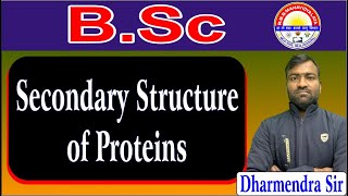 BSc 2nd Semester Secondary structure of proteins By Dharmendra Sir [upl. by Seldon95]