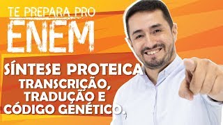 SÍNTESE PROTEICA  TRANSCRIÇÃO TRADUÇÃO E CÓDIGO GENÉTICO [upl. by Mella753]