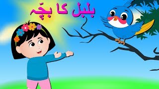 Bulbul Ka Bacha Urdu Poem  بلبل کا بچہ  Urdu Nursery Rhyme Collection for Babies [upl. by Hgielrebmik69]