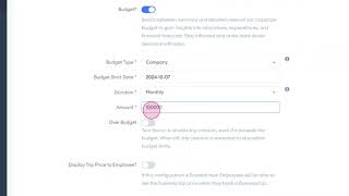 Corporate Budget Management Set Limits for Accounts amp Employees Easily [upl. by Earvin]