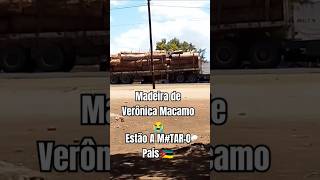 Estão a ver Moçambique todo aos poucos veronicamacamo madeiradeveronicamacamo [upl. by Blanchette]