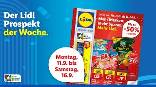 Der Lidl Prospekt der Woche  Angebote von Montag 119 bis Samstag 169 [upl. by Earahs]