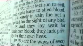 Proverbs 1 King James Holy Bible [upl. by Cornell996]