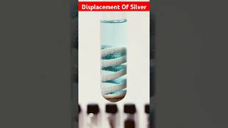 DISPLACEMENT OF SILVER  Copper Displaces Silver From Silver Nitrate Solution ytshorts Snay64 [upl. by Suivatnod]