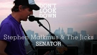 Stephen Malkmus and the Jicks  Senator  Dont Look Down [upl. by Helfand336]