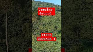 PINUS ECOPARK 4 camping puncakbogor bogorjawabarat campingground puncak [upl. by Leta]