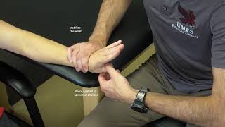 Manual Muscle Test for Thumb Adduction [upl. by Aurelea]