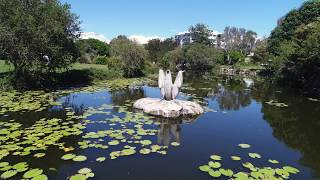 Fishing for Tilapia at Humpybong Creek Redcliffe [upl. by Krasner568]