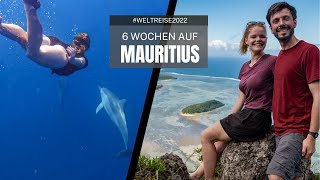 6 Wochen auf Mauritius Schnorcheln Wandern das Leben Genießen im Indischen Ozean [upl. by Mowbray]