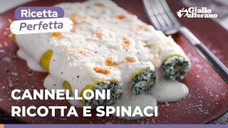 CANNELLONI RICOTTA e SPINACI un must della cucina italiana Ricetta originale [upl. by Eckel8]