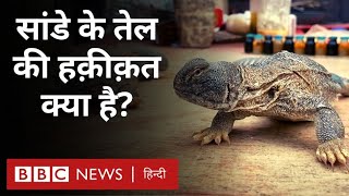 Saande ka Tel  कैसे निकाला जाता है सांडे का तेल और क्या ये वाकई यौन शक्तिवर्धक होता है BBC [upl. by Hubbard223]