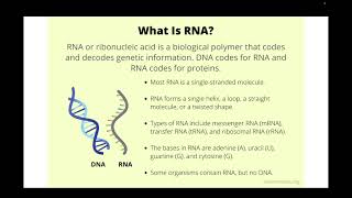 Week1 NPTEL TA Session on Introduction to RNA Biology and RNA World [upl. by Thatch951]