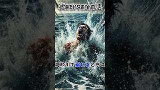 噓みたいなホントの話 溺れた時は意外な状態 高校生カップル ドラッグストアなのに 男友達と [upl. by Toft]