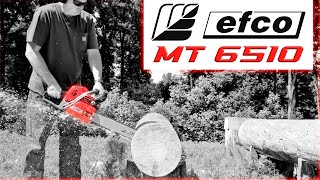 Ported Efco MT 6510 chainsaw [upl. by Gilberta557]