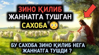 ЗИНО Қилиб Жаннатга Тушган Сахоба 😳 Жаннат Анхорларида Юрибди Дедилар РОСУЛУЛЛОХ ﷺ [upl. by Ardnasirk]