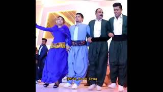 Kurdish Dance 247 [upl. by Laurentia]