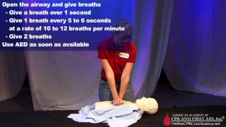 Adult CPR Training Video  How to Do CPR [upl. by Livingstone]