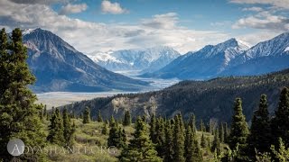 Adyashanti Guided Meditation  The Art of Listening [upl. by Maillil]