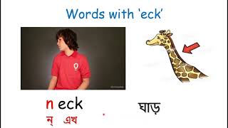 eck Word family। The Phonics Sound of eck  Digraphs। Blending Words with eck। [upl. by Rollo]