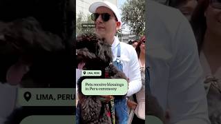 Peruvians line up to get pets blessed  ABC NEWS [upl. by Noremak]