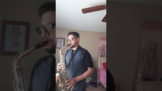 lambada alto sax [upl. by Nylrehs]