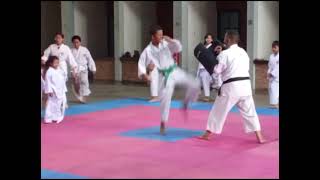 SHORINJI KEMPO KRANGGAN in ACTION 22 freesyle freestyle butterfly [upl. by Woodley]