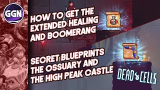 How to get the Extended Healing and Boomerang  Secret Blueprints  Dead Cells [upl. by Deck]