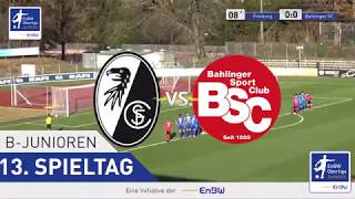 13 Spieltag SC Freiburg vs Bahlinger SC [upl. by Nilrac]