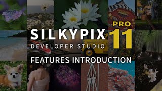 quotSILKYPIX Developer Studio Pro11quot promotion movie  FEATURES INTRODUCTION [upl. by Hogle731]