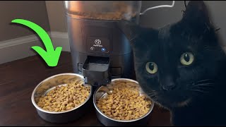 Feed Your Cats When You Arent Home  Automatic Pet Feeder Review [upl. by Criswell195]