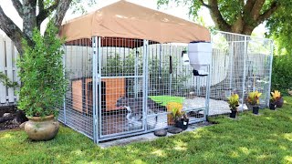 The Ultimate Dog Kennel System  Caona Bully Kennels 😀 2020 Yard Tour Kennel Setups and Upgrades [upl. by Dnyletak]