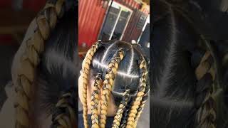 Jumbo Box Braids  Braids For Women [upl. by Cocke]